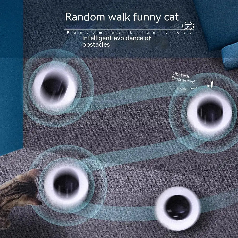 Cat Smart Teaser Toy