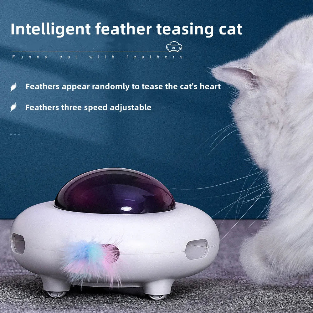 Cat Smart Teaser Toy