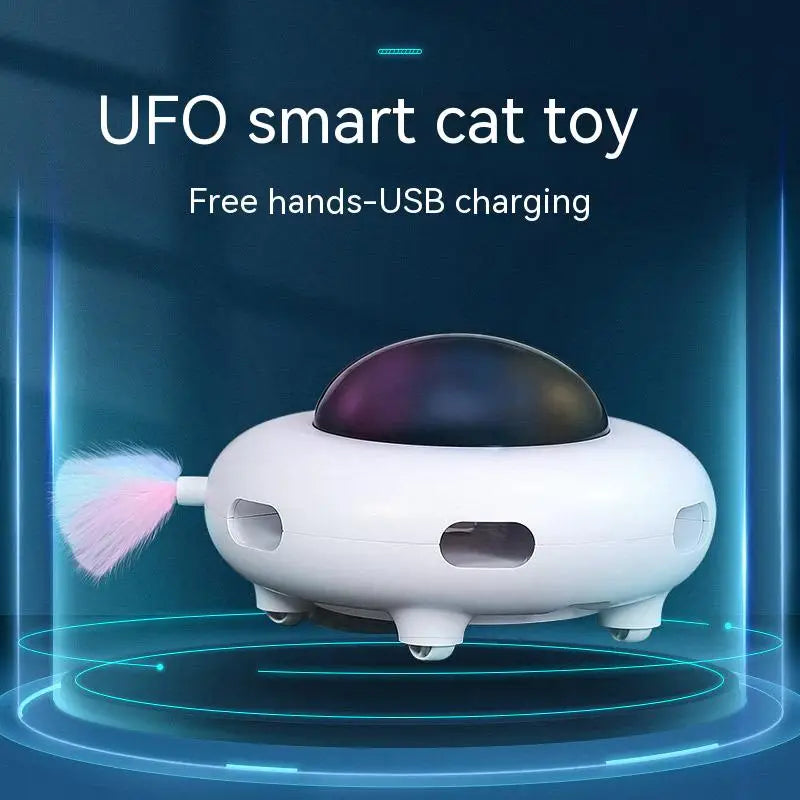 Cat Smart Teaser Toy