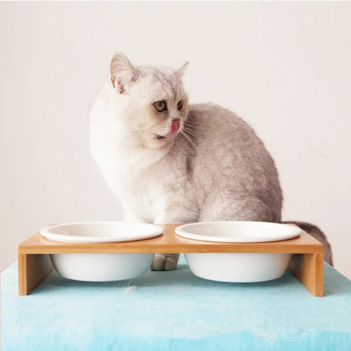 Pet Bamboo Food Bowl