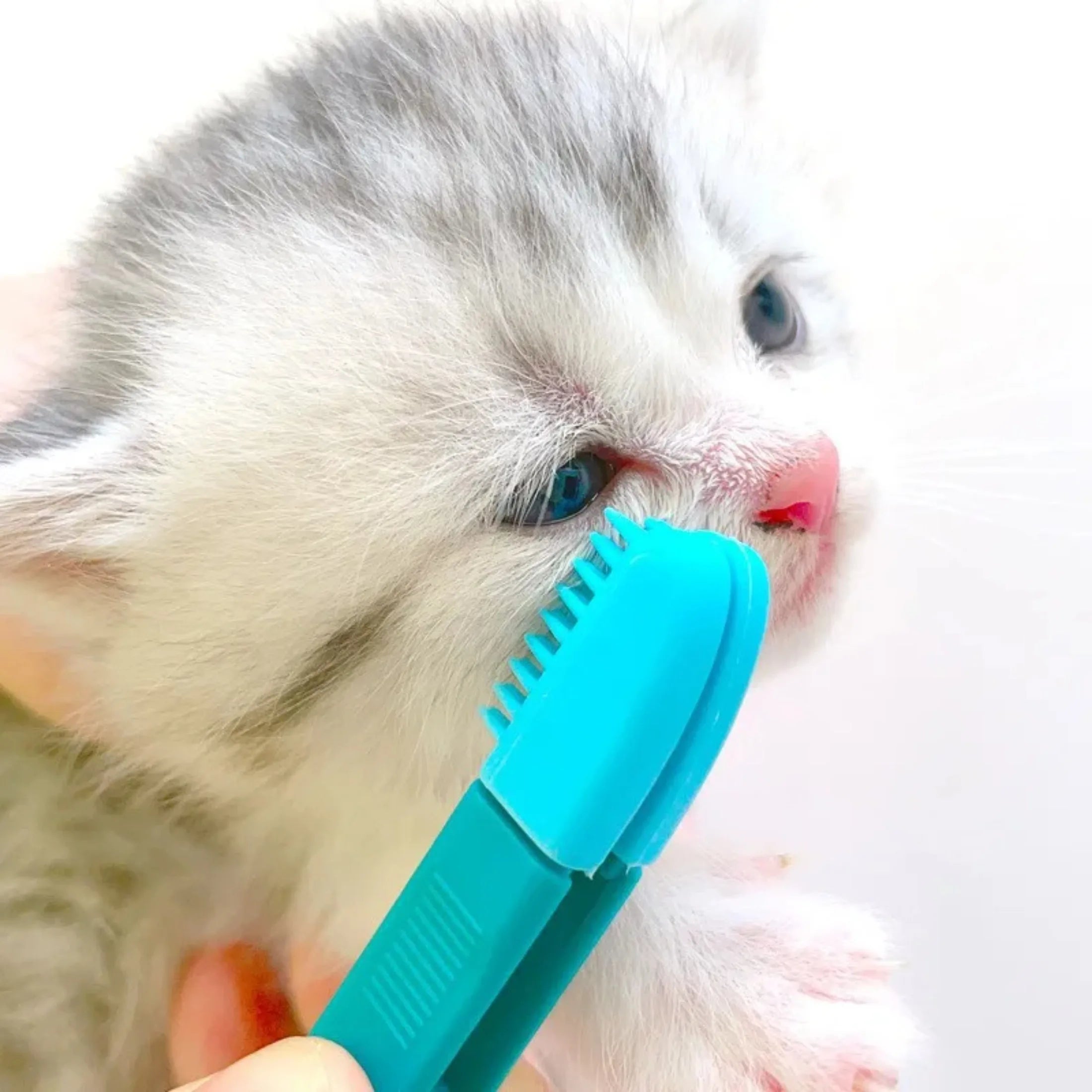 Pet Eye Cleaning Brush